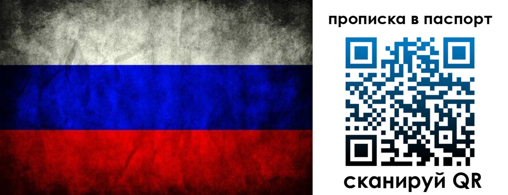 прописка поиск в Щёкино