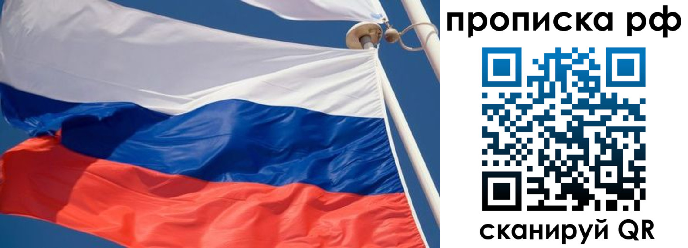 прописка гарантия в Щёкино